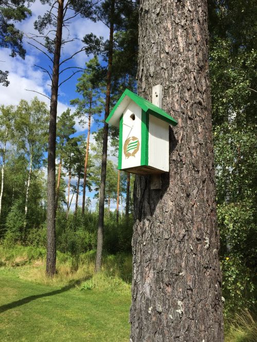 Miškas, Medis, Birdhouse, Hambarby