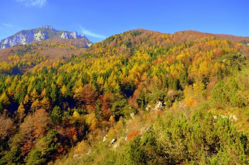 Miškas, Kalnas, Ruduo