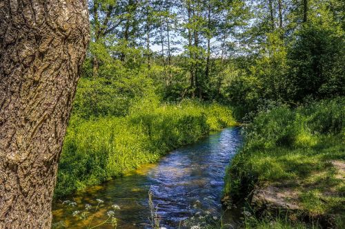 Miškas, Torrent, Upė, Žievė, Kraštovaizdis, Srautas, Gamta, Upelis, Vanduo, Medis, Turizmas, Vaizdas, Parkas, Srautas, Lapija, Peizažas, Žalias