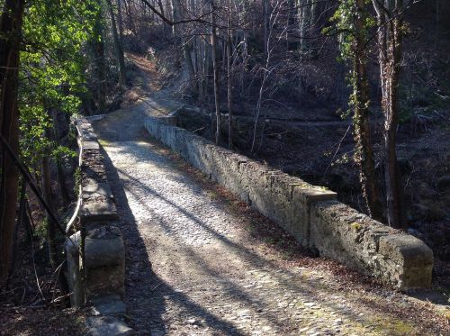 Miškas, Takas, Vaikščioti