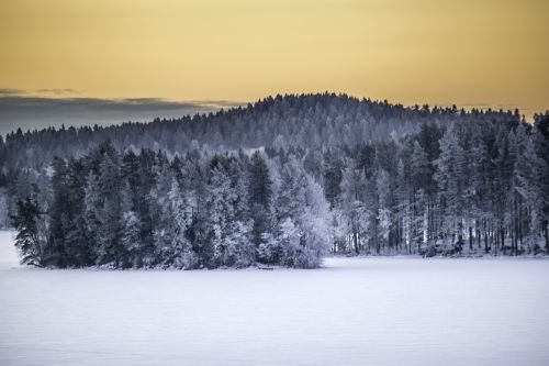 Miškas, Gamta, Suomių, Finland