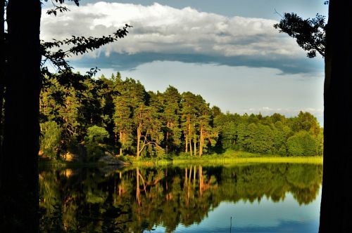Miškas, Vanduo, Ežeras, Veidrodis, Vasara, Medis, Švedija, Lauke, Debesis, Gamta, Småland, Peizažai, Peržiūros