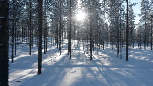 Miškas, Finland, Poilsis, Žiema