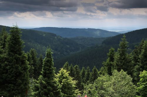 Miškas, Vaizdas, Tolimas Vaizdas, Tiuringijos Miškas, Medžiai