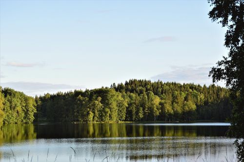 Miškas, Vanduo, Ežeras, Vasara, Švedija, Medis, Gamta, Peržiūros
