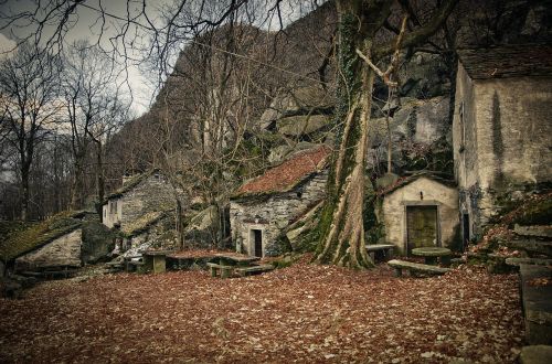 Miškas, Namai, Medžiai, Lapai, Ruduo, Gamta