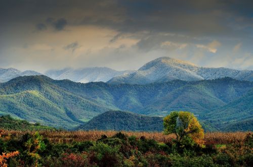 Miškas, Ruduo, Kraštovaizdis, Debesys, Kalnas, Gamta, Lauke, Vaizdingas