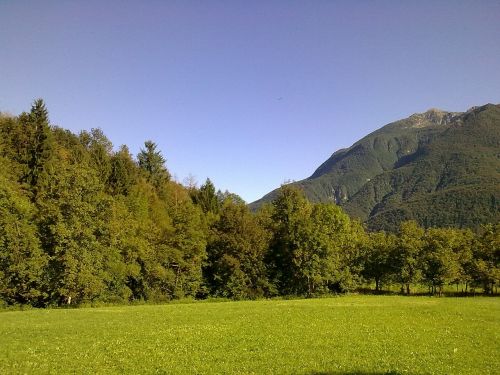 Miškas, Kalnas, Friuli Venezia Giulia, Eglė, Gamta, Žalias