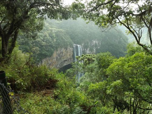 Miškas, Krioklys, Medžiai, Žalias, Kraštovaizdis, Augmenija, Mata Atlantica, Brazilija