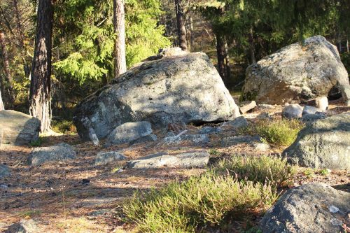Miškas, Akmenys, Ruduo, Švedijos Kraštovaizdis, Gamta