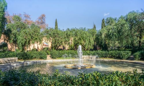 Fontanas, Parkas, Gamta, Architektūra, Lauke, Barcelona, Ispanija, Sodas, Lauke, Medis, Saulėtas, Žalias