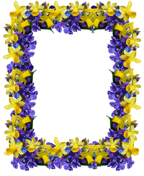 Rėmas, Pavasaris, Gėlės, Narcizai, Violets