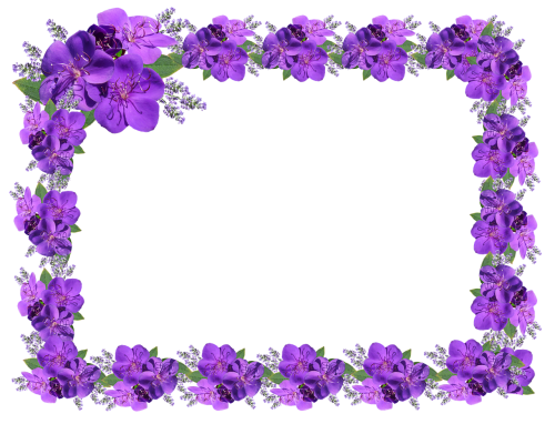Rėmas, Sienos, Gėlių Violetinė