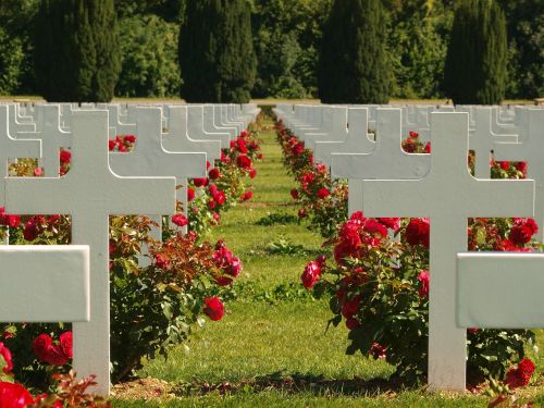 France, Douaumont Ossuary, Kapinės, Kapai, Kapinės, Istorinis, Orientyras, Kryžiai, Gėlės, Rožės