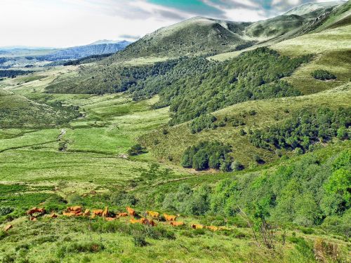 France, Kraštovaizdis, Vaizdingas, Galvijai, Kalnai, Slėnis, Dangus, Debesys, Vasara, Pavasaris, Miškas, Medžiai, Gamta, Lauke, Šalis, Kaimas, Kaimas, Ūkis, Hdr