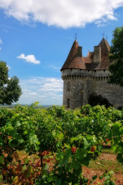 France, Dordogne, Périgord, Vynmedis, Pilis, Monbazillac