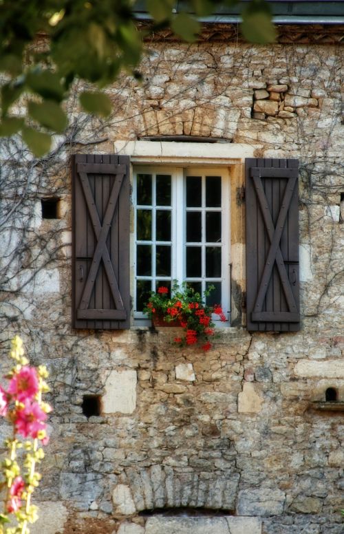 France, Dordogne, Périgord, Langas, Gėlė