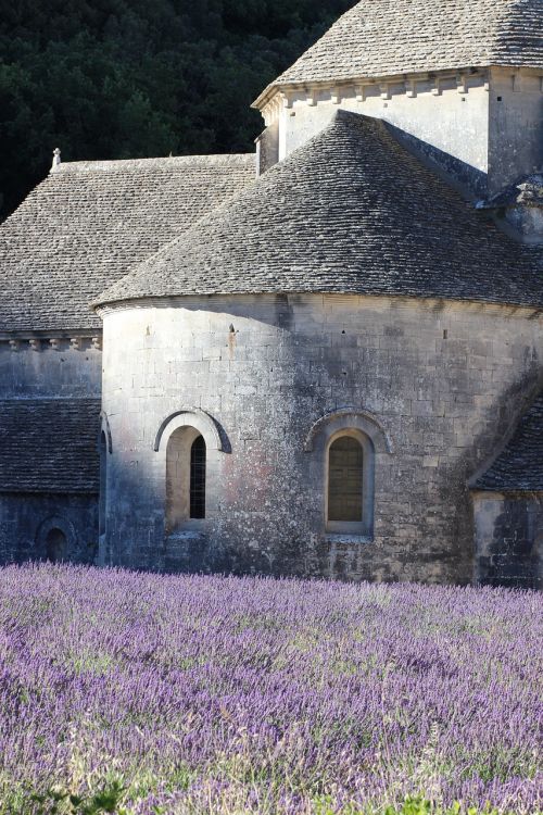 France, Provence, Levanda, Laukas, Pastatas, Istorija, Vienuolynas, Architektūra, Lankytinos Vietos