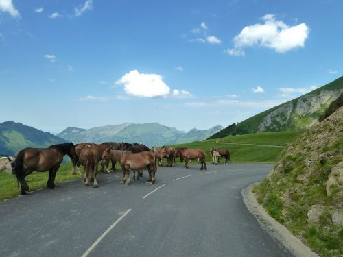 France, Kelias, Arkliai, Dangus, Debesys, Kraštovaizdis, Kalnai, Gamta, Lauke, Šalis, Kaimas, Kaimas, Vaizdingas, Žolė, Augalai