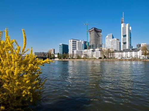 Frankfurtas, Pagrindinis, Hesse, Vokietija, Pagrindiniai Bankai, Dangoraižis, Architektūra, Lankytinos Vietos, Gėlės, Pavasaris, Žiedas, Žydėti, Forsitija