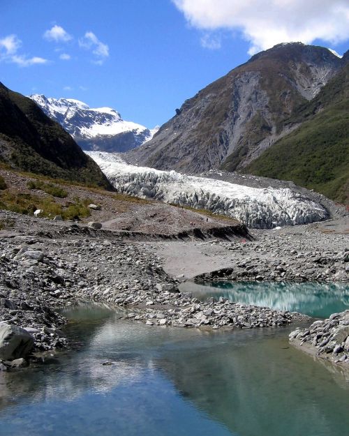 Franz Josef Ledynas, Naujoji Zelandija, Vaizdingas, Ledinis, Aplinka