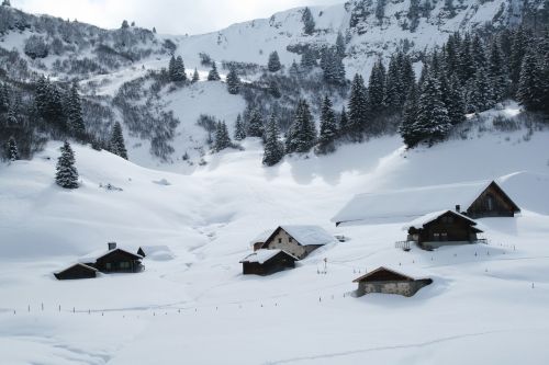 Prancūzakalbiai Šveicarija, Sniegas, Medžiai, Žiemą, Šaltas, Žiema, Saulė