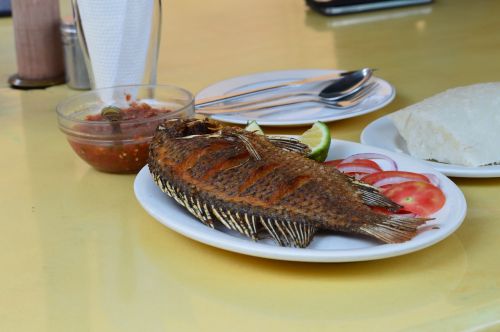 Kepta Žuvis, Kenijos Maistas, Nairobio Restoranas, Žemyno Afrikietiškas Maistas, Afrikietiškas Maistas, Nairobis, Tilapija, Keptas