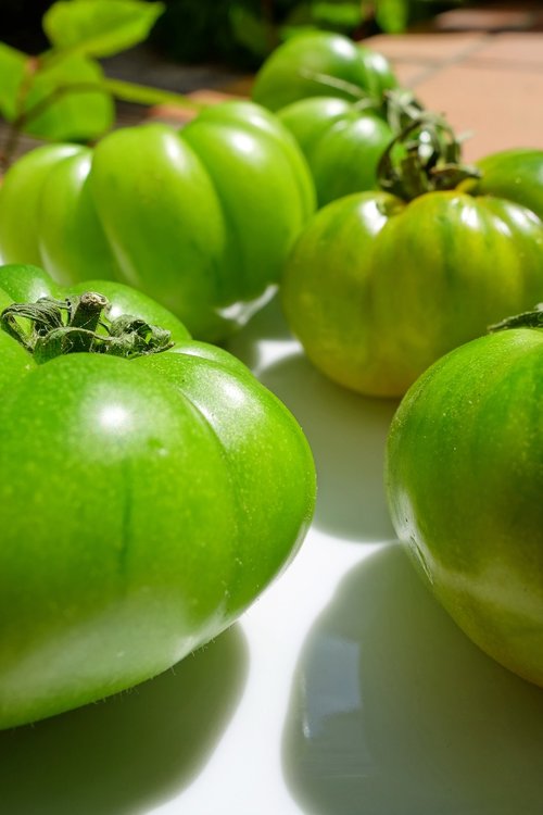 Kepti Žali Pomidorai,  Pomidorai,  Žalias,  Daržovės,  Maisto,  Sveikas