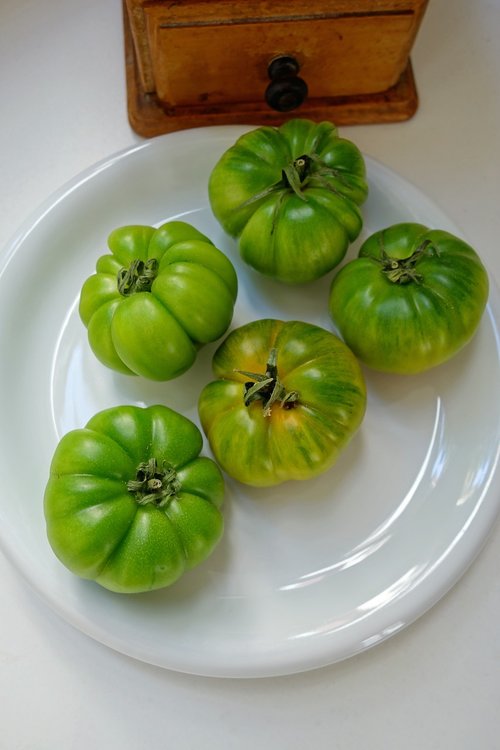 Kepti Žali Pomidorai,  Žalia Pomidorų,  Pomidorų,  Daržovės,  Sveiki,  Vegetarų,  Lėkštė