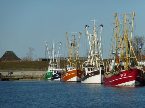 Friedrichskoog Uostas, Krevetės, Friedrichskoog, Laivai, Pjaustytuvas, Uostas