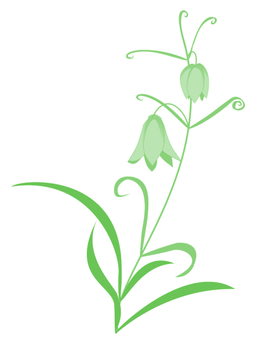 Fritillaria, Lelija, Žalias, Gėlės, Paprastas