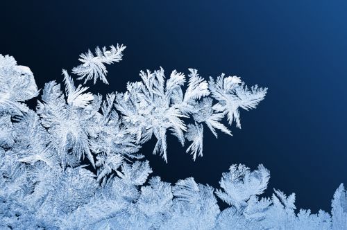 Žiema,  Šaltis,  Lango & Nbsp,  Modelius,  Sniegas,  Ledas,  Gruodžio Mėn .,  Langų Užšalimo Modeliai