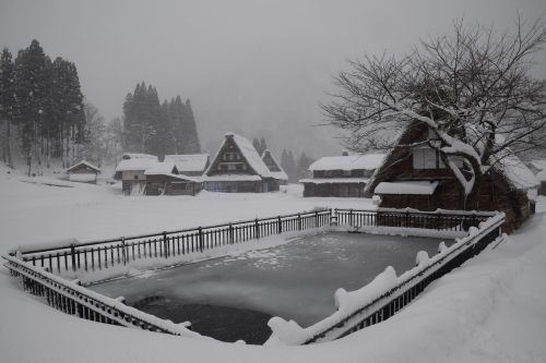 Sušaldyta, Tsuganuma Kaimas, Žiema, Japonų Nameliai