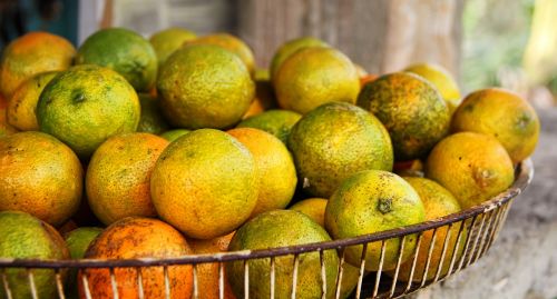 Vaisiai, Limone, Citrina, Vaisių, Vitaminai, Geltona, Citrusiniai Vaisiai, Citrusas × Limon, Tropiniai Vaisiai, Citrusiniai