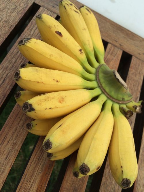 Bananai, Geltona, Prinokę, Vaisiai, Mini-Banana, Tailandas