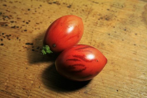 Vaisiai,  Medis & Nbsp,  Pomidoras,  Raudona,  Pažymėtas,  Pailgos,  Ovalus,  Medžio Pomidorų Vaisius