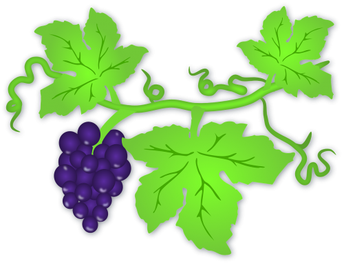 Vaisiai, Vynuogės, Žalias, Lapai, Violetinė, Vynmedis, Vynas, Nemokama Vektorinė Grafika