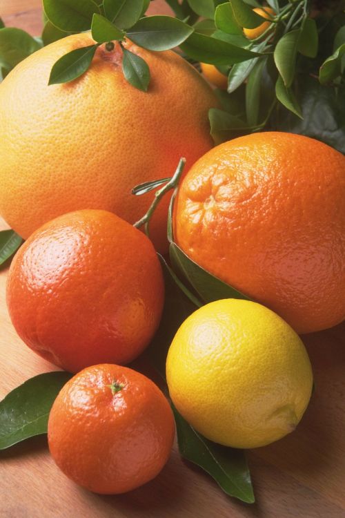 Vaisiai, Oranžinė, Citrusiniai Vaisiai