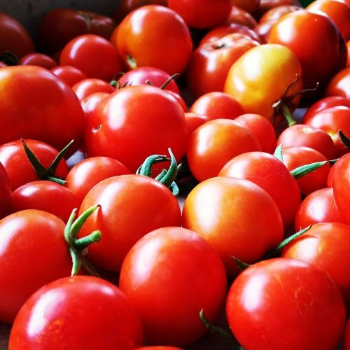 Vaisiai Ir Daržovės,  Pomidorai,  Raudona,  Pomidoras,  Vegetariškas,  Žemdirbystė,  Sultingas