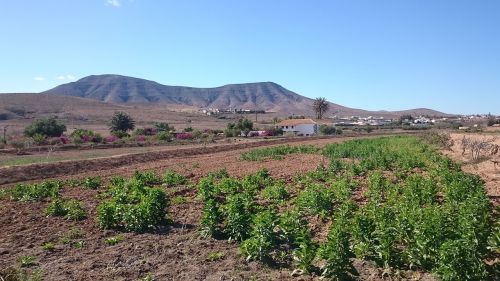 Fuerteventura, Kraštovaizdis, Kaimas, Gamta, Takas, Kalnų Peizažas, Žemdirbystė, Kaimiškas, Laukas