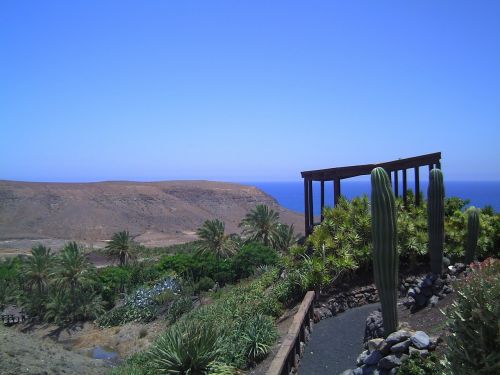 Fuerteventura, Dangus, Mėlynas, Vasara, Ispanija, Pavasaris, Saulėtas, Kraštovaizdis, Augalas, Debesys, Vanduo, Ežeras, Gamta, Palmės