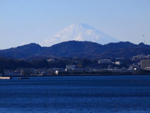 Fuji, Mt Fuji, Morning Glory, Oh, Better, Sometimes Y, Kanagawachan, Yokosuka, Hanawa, Masako, Masako, B __ , Vy B , F Frankness S, Tiesiogine Prasme