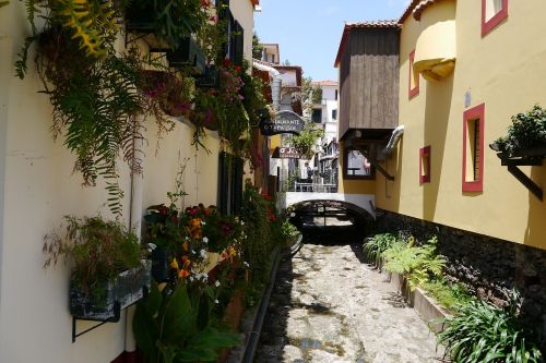 Funchal, Madeira, Portugal, Namai, Gėlių Sala, Namai, Miesto Vaizdas, Miestas, Vandens Keliai