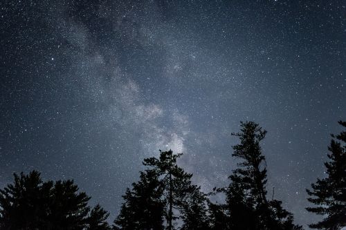 Galaktika, Paukščių Takas, Gamta, Naktis, Dangus, Žvaigždės, Vasara, Medžiai