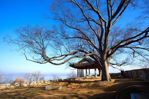 Ganghwado,  Jau Metus,  Korėjos Respublika,  Ir Ketvirtadienis.,  Tradicinis,  Korėja Kultūra,  Tradicinis Pastatas,  Istorija,  Liaudies