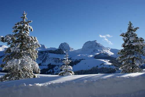 Gantrisch, Kalnai, Alpių, Žiemą, Šveicarija, Žiema