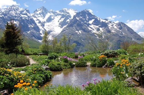 Hautes Alpes, Gimdos Kaklelio Lautaretas, Sodas, Alpės, Botanikos Sodas