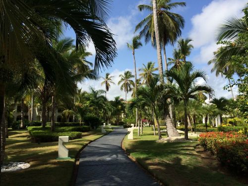 Sodas, Gėlių Sodas, Gėlės, Kurortas, Punta Cana, Dominikos Respublika