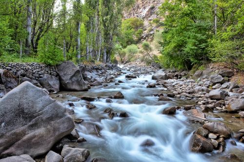 Sodas, Žolė, Žalias, Diena, Žalumos, Kompozicija, Vasara, Nuotrauka, Puiku, Kraštovaizdžio Gamta, Natūralus Gyvenimas, Highland, Kraštovaizdis, Natur, Neįtikėtinas, Ispiras, Juodoji Jūra, Kaçkars, Šventė, Ganyklos, Upė, Aplinkosauga, Taika, Fonas, Turkija, Kelionė, Gamta, Sezonas, Lauke, Augalas, Ryški Spalva, Žalias Laukas, Dabartinis Sezonas, Miškas, Daisy