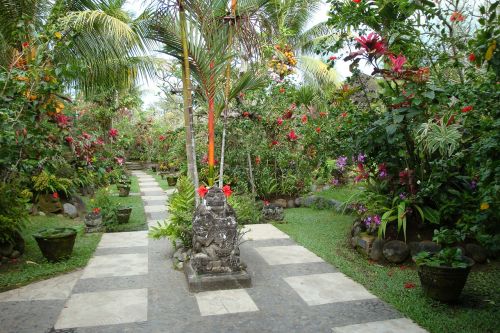Sodas, Atogrąžų, Bali, Taika